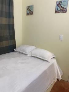 a bed with two pillows on it in a room at las casitas acogedora in Las Galeras