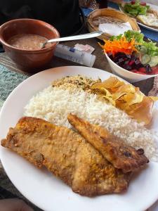a plate of food with rice and fish and a salad at Casa de piscina em Delfinopolis área central 2 suítes in Delfinópolis