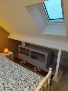 a attic bedroom with a skylight and a fireplace at Huis van Rooi Willebringen in Boutersem