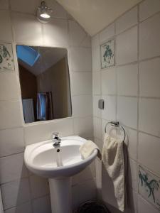 a bathroom with a white sink and a mirror at Huis van Rooi Willebringen in Boutersem