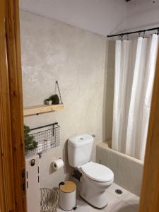 a bathroom with a white toilet and a shower at Forest view Aggeliki in Karpenisi +11 photos