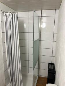 a glass shower in a bathroom with a shower curtain at Aux Sabots du Temps in Vielsalm +9 photos