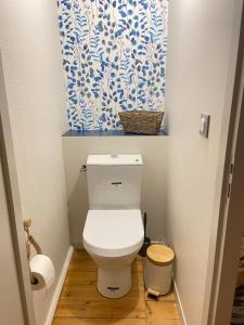 a bathroom with a toilet with a blue and white curtain at Maison Basse in Malestroit +7 photos