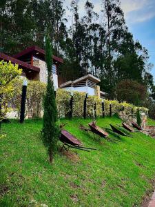 a row of benches sitting in the grass at MONTESANO Finca HOTEL in Jenesano