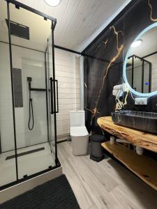 a bathroom with a shower and a sink and a mirror at Садиба У Ані номер 7 in Synevyrsʼka Polyana