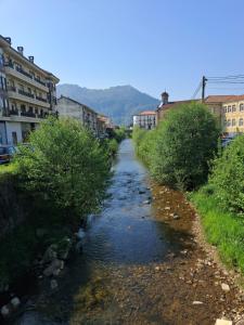 a river in a city with trees and buildings at Casa Salamó in Ampuero +7 photos