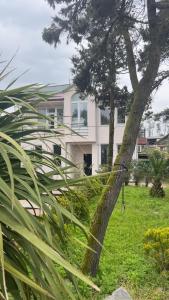 a white house with a tree in front of it at Gulis Home in Shekhvetili