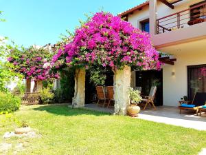 un jardín con flores rosas en dos árboles en Villa Carlos, en Áyios Vasílios