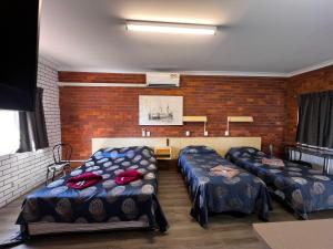 a room with three beds in a room at Glen Innes Lodge Motel in Glen Innes
