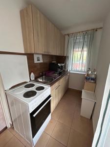 a small kitchen with a stove and a sink at ReZa111 in Békésszentandrás