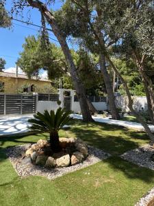 a palm tree in a yard with rocks at Pine and Sea in Artemida