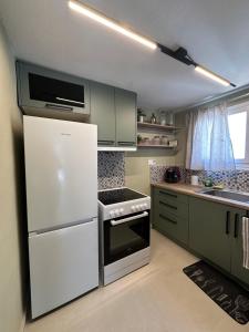 a kitchen with white appliances and green cabinets at Pine and Sea in Artemida