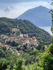 a village on a hill with a mountain in the background at Il Vecchio Torchio in Perledo