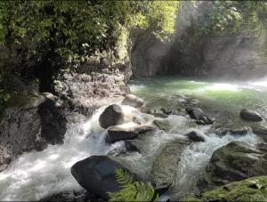 a river with green water and rocks and trees at Casa Morpho, Modern Studio with Unique Waterfall Views in Barú