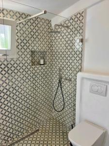 a bathroom with a shower and a toilet at Casa Nela in Odeceixe