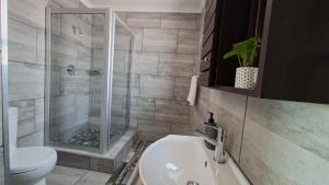 a bathroom with a shower and a sink and a toilet at Shelley Point Townhouse in Stompneusbaai +51 photos