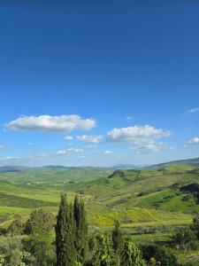 a view of a green valley with trees and hills at Borgo Cipampini in Petralia Soprana +5 photos