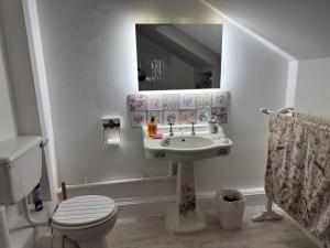 a bathroom with a sink and a toilet and a mirror at 64 Cressingham Road in London