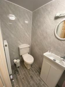 a bathroom with a toilet and a sink at Derryvree House in Maguires Bridge