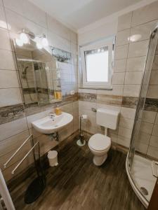 a bathroom with a toilet and a sink and a shower at Apartment Konavec in Kobarid +31 photos