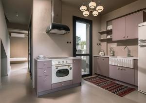 a kitchen with a stove and a sink in it at Dia Viou Rene in Paradisos