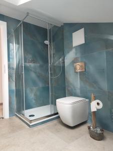 a bathroom with a glass shower and a toilet at Am Weiher mit Terrasse in Hergensweiler