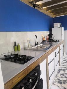 a kitchen with a sink and a stove top oven at Coco'Living - Gîtes de standing partagés in Gourbeyre +11 photos