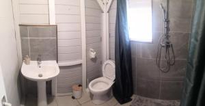 a bathroom with a toilet and a sink and a shower at Coco'Living - Gîtes de standing partagés in Gourbeyre