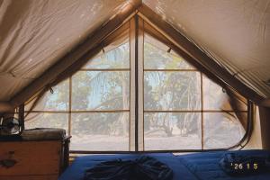 a room with a large window in a tent at Lote 10 Tayrona Glamping in Guachaca