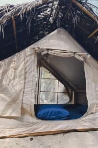 a tent with a blue pillow in it at Lote 10 Tayrona Glamping in Guachaca