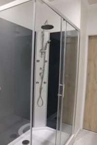 a shower with a glass door in a bathroom at Appartement Le Cocon des Rives in Vichy