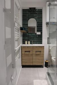 a bathroom with a sink and a mirror at Appartement Le Cocon des Rives in Vichy