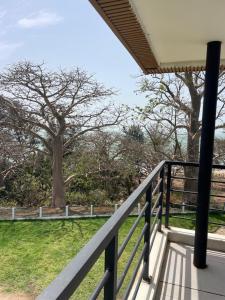 a porch with a fence and a tree at Tanji Cliffs in Tanji