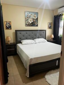a bedroom with a large bed with two night stands at Leemclean gated vacation home in Spanish Town