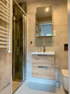 a bathroom with a shower and a sink and a mirror at Kryształowa 47/7 in Piechowice