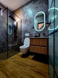 a bathroom with a toilet and a sink and a mirror at Hoota Cottage Bojana River in Ulcinj