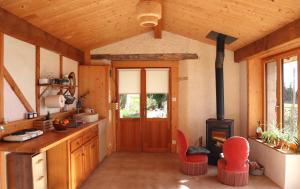 a kitchen with a stove and a wooden ceiling at La Forge - calme absolu avec vue sur les Pyrenées in Villarzel-du-Razès