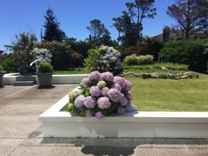 Imagen de la galería de Playa Mansa Parada 8, en Punta del Este