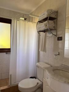 a bathroom with a toilet and a sink and a shower at Cabaña Coihue in Pucará +25 photos