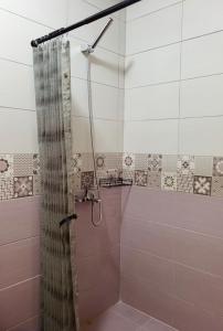 a shower with a shower curtain in a bathroom at Selsko domacinstvo Nevena in Kumanovo