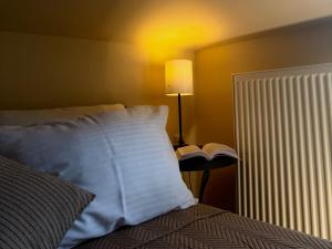 a bedroom with a bed with a pillow and a lamp at VASILICA Apartments in Ierissos