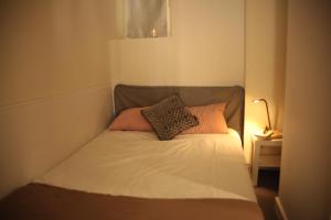 a bed with two pillows on it in a room at Lyon Standing Historic City Apartment in Lyon