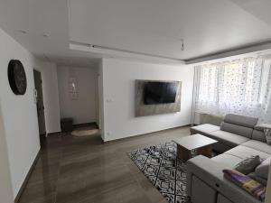 ein Wohnzimmer mit Sofa und Fernseher in der Unterkunft Yara in Montargis