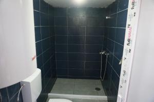 a bathroom with a blue tiled shower with a toilet at Glamping Krupac Lake in Blaca