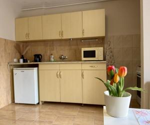 a kitchen with a white refrigerator and a microwave at Vintage Apartman Gyula in Gyula