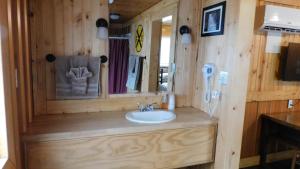 a bathroom with a sink and a mirror at Historic Matewan House Lodging in Matewan +44 photos