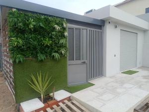 a green wall with a door and a plant at Alojamentos Céu Azul in Fernao Ferro