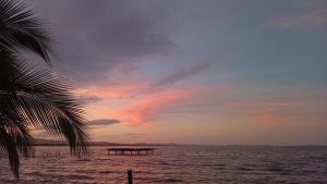 a beach with a palm tree and a pier in the water at Palmeras de Miramar in Miramar
