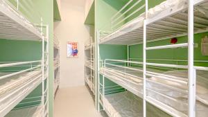 a room with green walls and bunk beds at OSA - Stella - Garden Hostel with bar in Naples