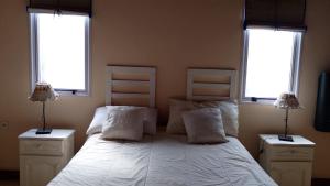 a bedroom with a large bed with two windows at Brisas Pura in Tandil